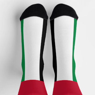 United Arab Emirates Flag Socks