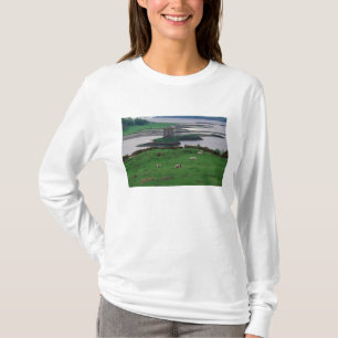 United Kingdom, Scotland, Isle of Skye, old T-Shirt