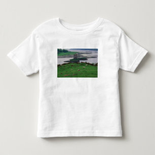 United Kingdom, Scotland, Isle of Skye, old Toddler T-Shirt
