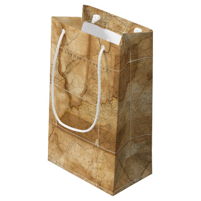 United States 39 Small Gift Bag (Back Angled)