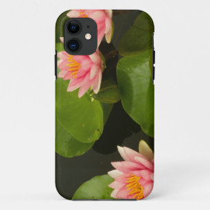 United States, DC, Washington, Kenilworth 4 Case-Mate iPhone Case