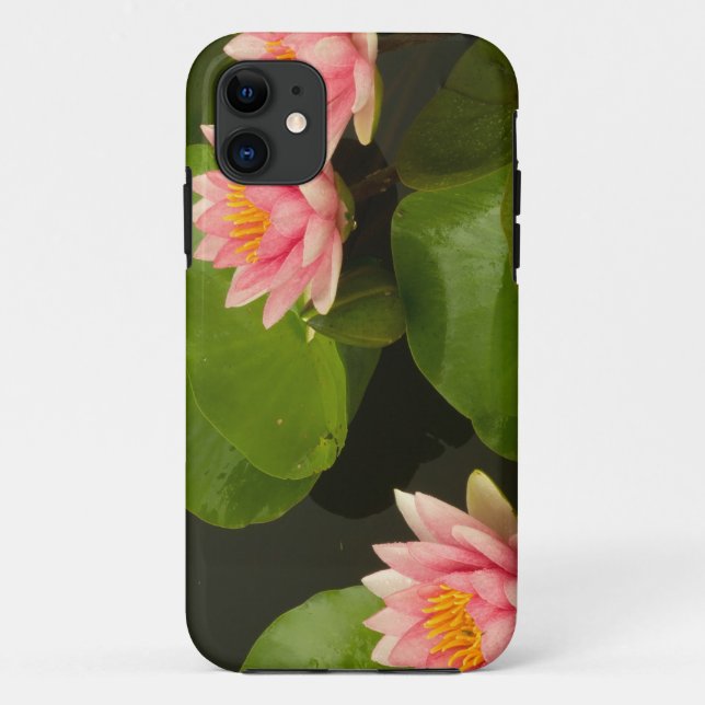 United States, DC, Washington, Kenilworth 4 Case-Mate iPhone Case (Back)
