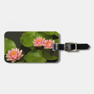 United States, DC, Washington, Kenilworth 4 Luggage Tag