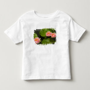 United States, DC, Washington, Kenilworth 4 Toddler T-Shirt