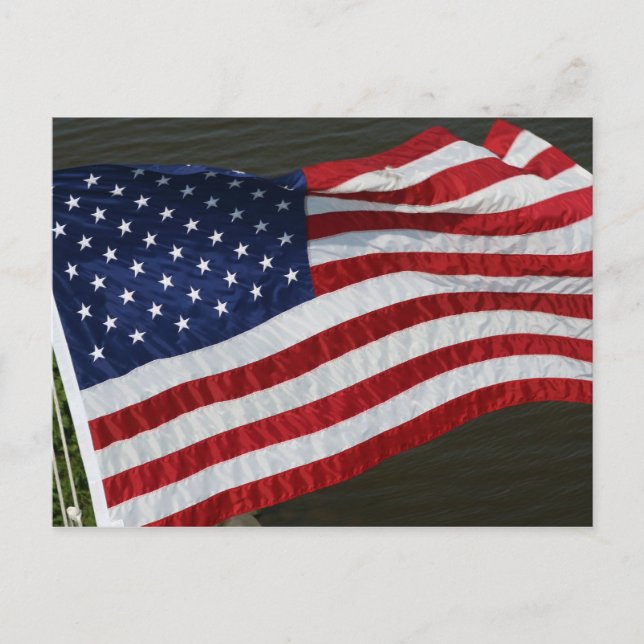 United States Flag Postcard (Front)