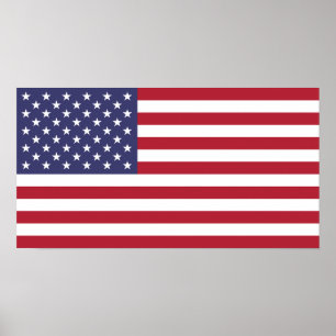 United States Flag Poster