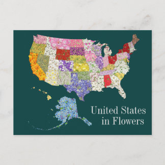 United States in Flowers -Alt Back Design Postcard