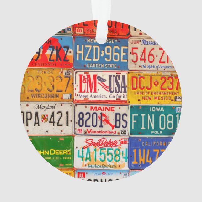 United States License Plates Art America Ornament (Back)