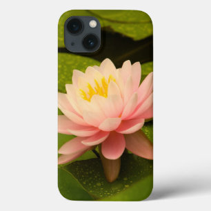 United States, Maryland, Westminster, Union 2 iPhone 13 Case