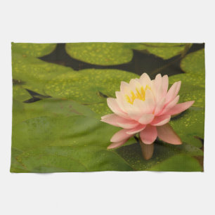 United States, Maryland, Westminster, Union 2 Tea Towel