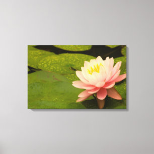 United States, Maryland, Westminster, Union Canvas Print