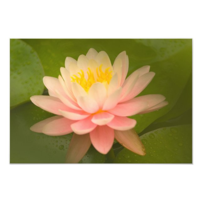 United States, Maryland, Westminster, Union Photo Print (Front)