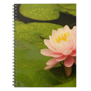 United States, Maryland, Westminster, Union Spiral Notebook