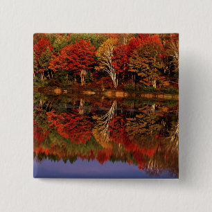 United States, Michigan, Upper Peninsula. Fall 15 Cm Square Badge