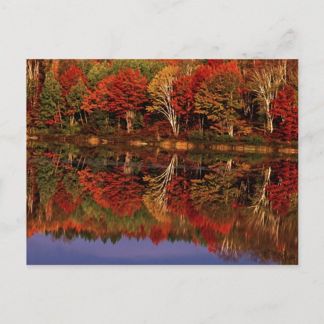 United States, Michigan, Upper Peninsula. Fall Postcard (Front)