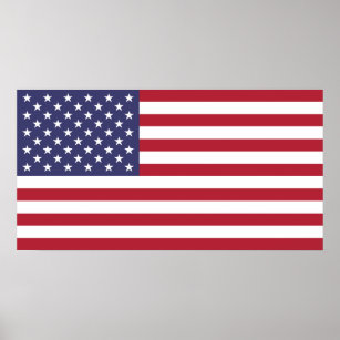 United States National World Flag Poster