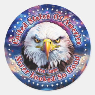 United States Of America Brown Eagle Fireworks M Classic Round Sticker