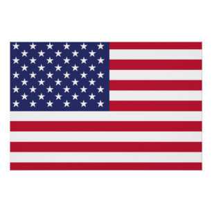 United States of America Flag Poster