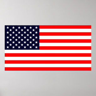 United States of America flag Poster