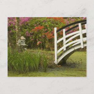 United States; South Carolina; Charleston; 2 Postcard
