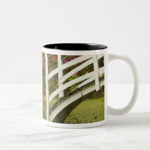 United States; South Carolina; Charleston; 2 Two-Tone Coffee Mug