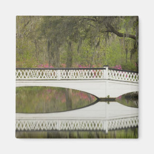 United States; South Carolina; Charleston; 3 Magnet