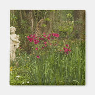 United States; South Carolina; Charleston; 4 Magnet