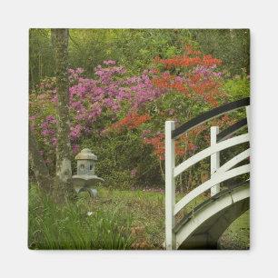 United States; South Carolina; Charleston; 5 Magnet