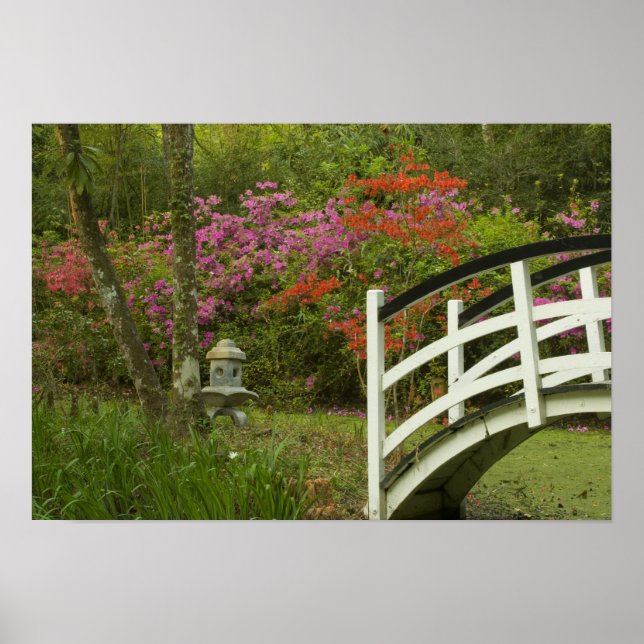 United States; South Carolina; Charleston; 5 Poster (Front)