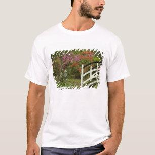 United States; South Carolina; Charleston; 5 T-Shirt