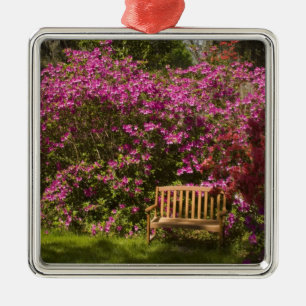 United States; South Carolina; Charleston; Metal Tree Decoration