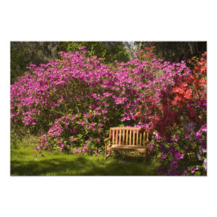 United States; South Carolina; Charleston; Photo Print