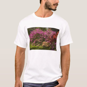 United States; South Carolina; Charleston; T-Shirt