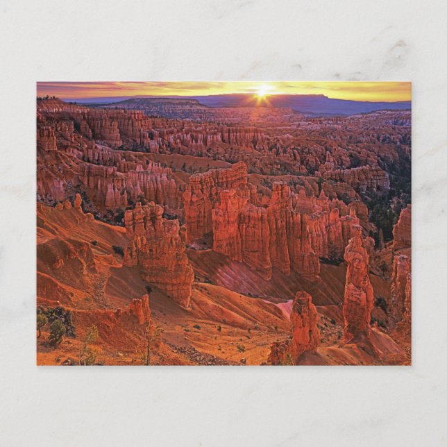 United States, Utah, Bryce Canyon National Park Postcard (Front)