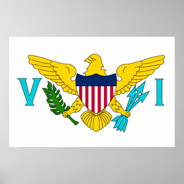United States Virgin Islands, United States flag Poster (Front)