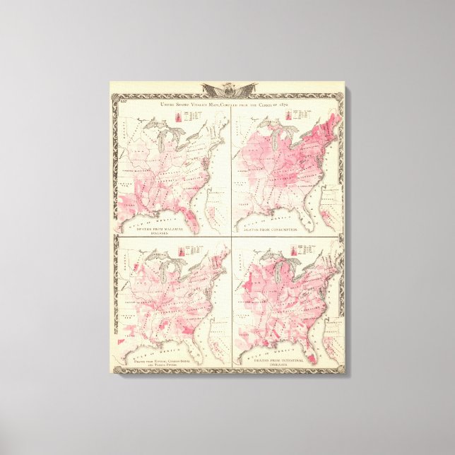 United States vitality maps Canvas Print (Front)