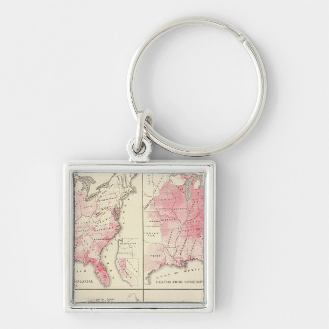 United States vitality maps Key Ring (Front)
