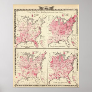 United States vitality maps Poster