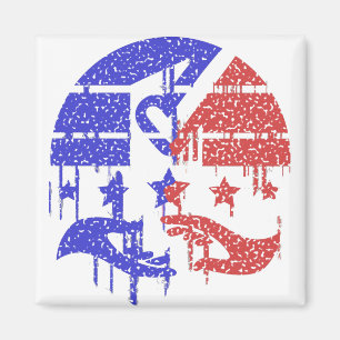 Unity Amidst Differences Magnet