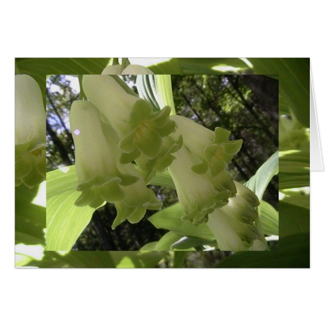 unity in balance (Front Horizontal)