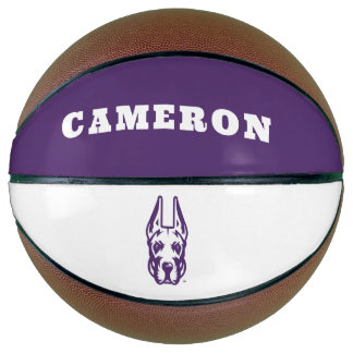 University at Albany Great Dane Mascot Head Basketball