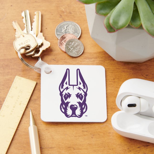 University at Albany Great Dane Mascot Head Key Ring (Desk)