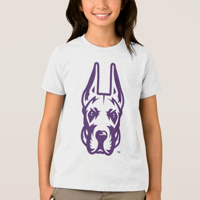 University at Albany Great Dane Mascot Head Tri-Blend Shirt (Front)