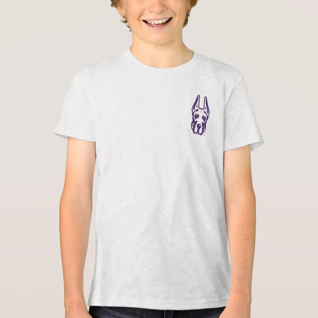 University at Albany Great Dane Mascot Head Tri-Blend Shirt (Front)