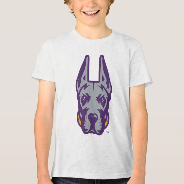 University at Albany Great Dane Mascot Head Tri-Blend Shirt (Front)