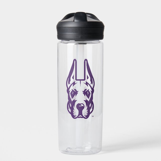 University at Albany Great Dane Mascot Head Water Bottle (Front)