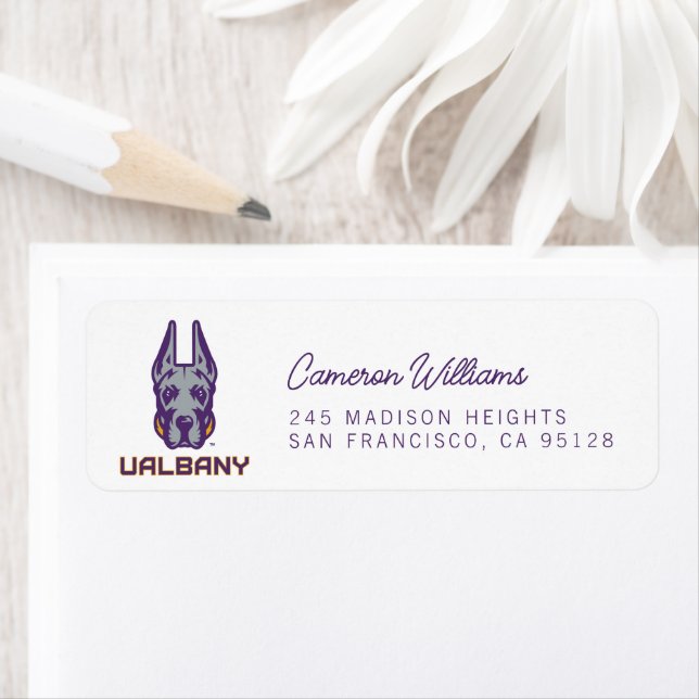 University at Albany Great Danes (Insitu)