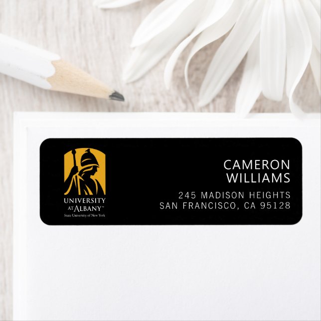 University at Albany Iconic Logo (Insitu)