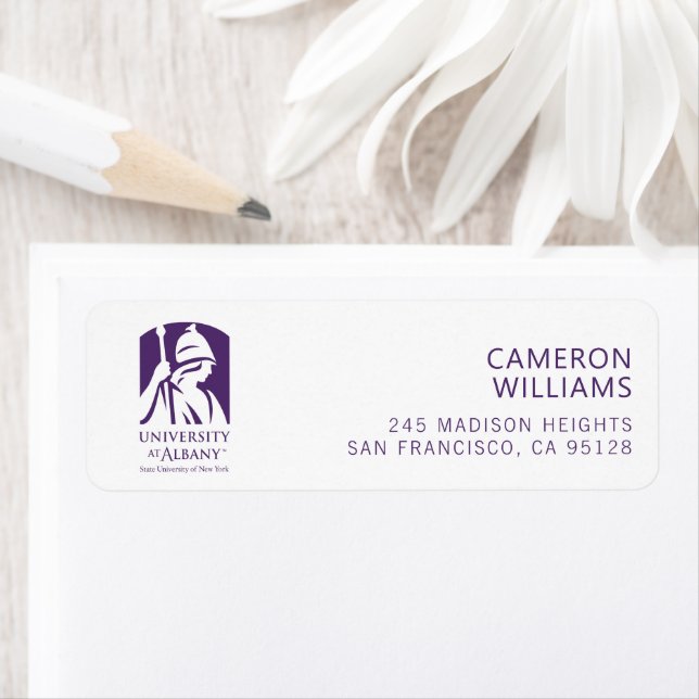 University at Albany Iconic Logo (Insitu)