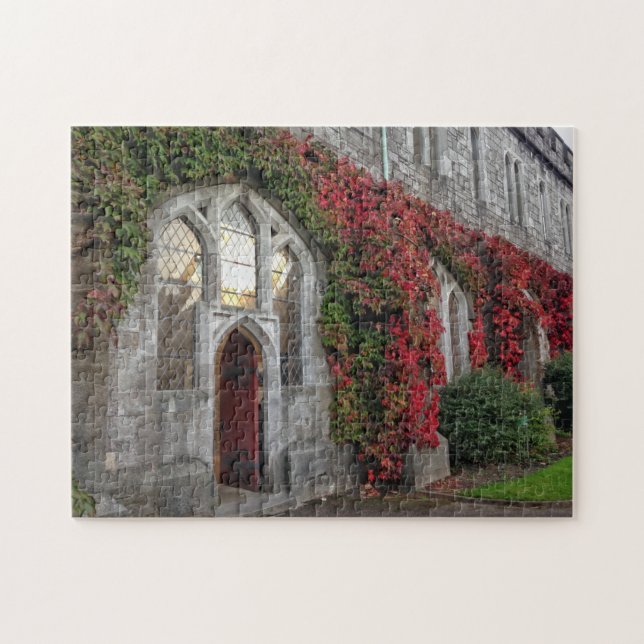 University College Cork Fall Colours Ireland Puzzl Jigsaw Puzzle (Horizontal)